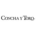 Via Concha y Toro